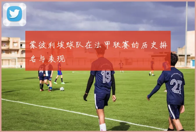 蒙彼利埃球队在法甲联赛的历史排名与表现